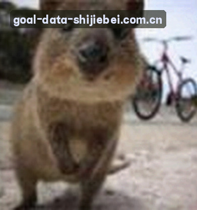 陈杰